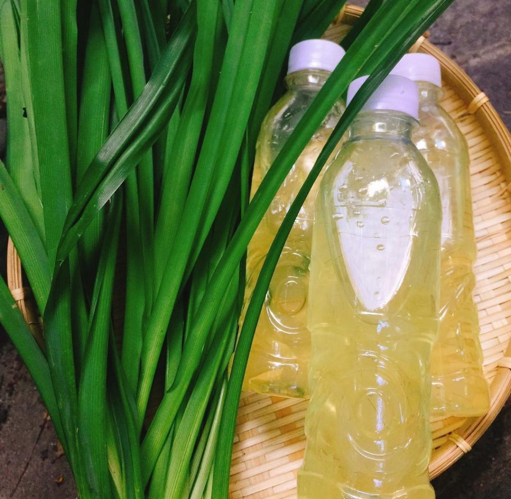 Thành phẩm nước nha đam có thể đem đóng chai và bảo quản trong tủ lạnh