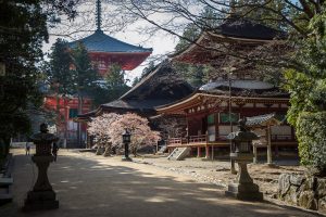 Đến thăm ngọn núi linh thiêng có 117 ngôi đền ở Nhật Bản