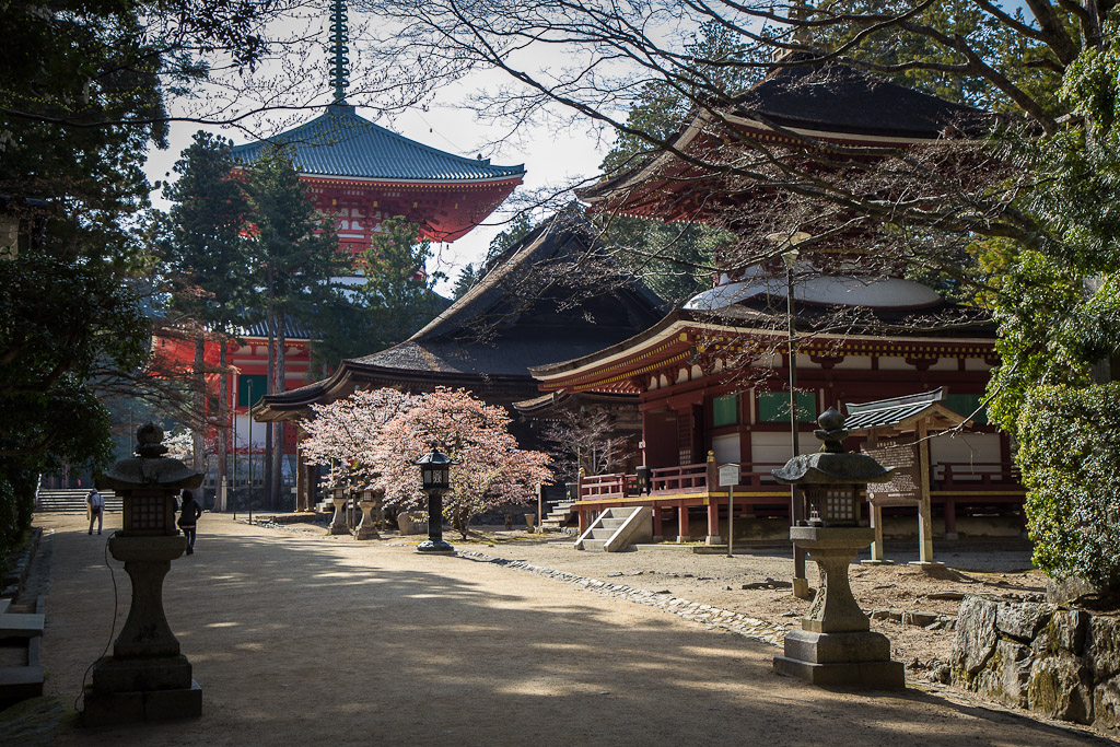 Đến thăm ngọn núi linh thiêng có 117 ngôi đền ở Nhật Bản