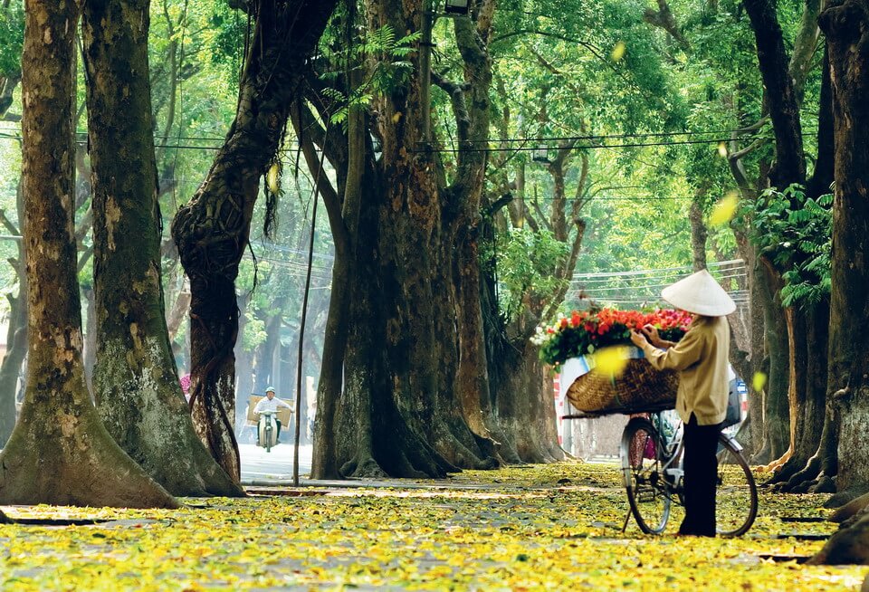 Mùa thu là lúc Hà Nội đẹp nhất trong tâm trí khách du lịch